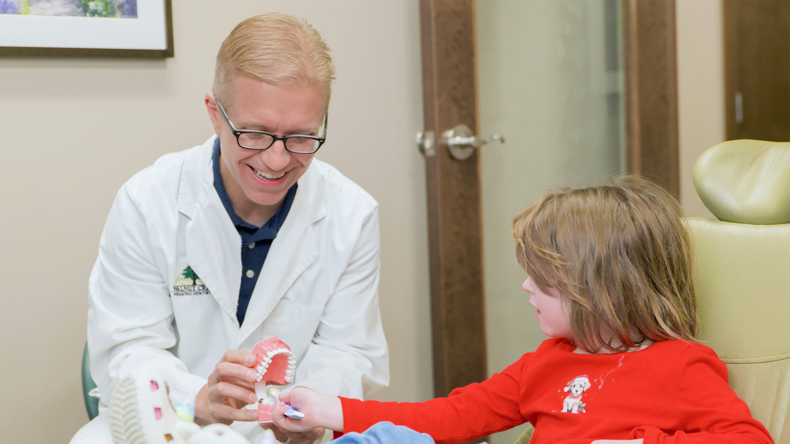 Papillon Ne Pediatric Dentist